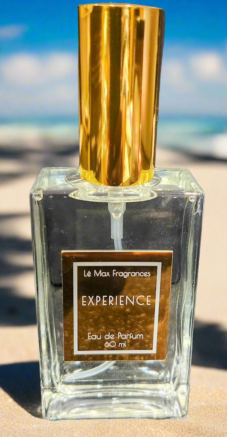 EXPERIENCE
